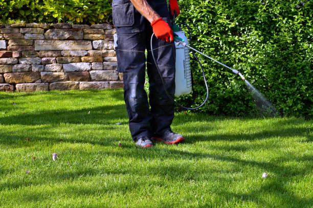 Best Fumigation Services  in Proctor, MN